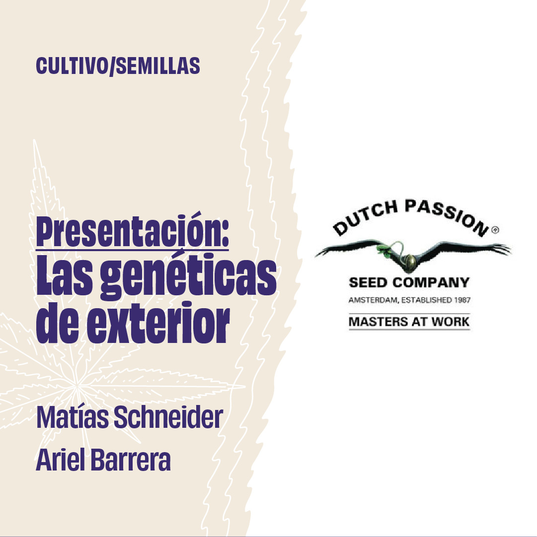 Las genéticas de exterior. El cultivo y los microclimas de Argentina