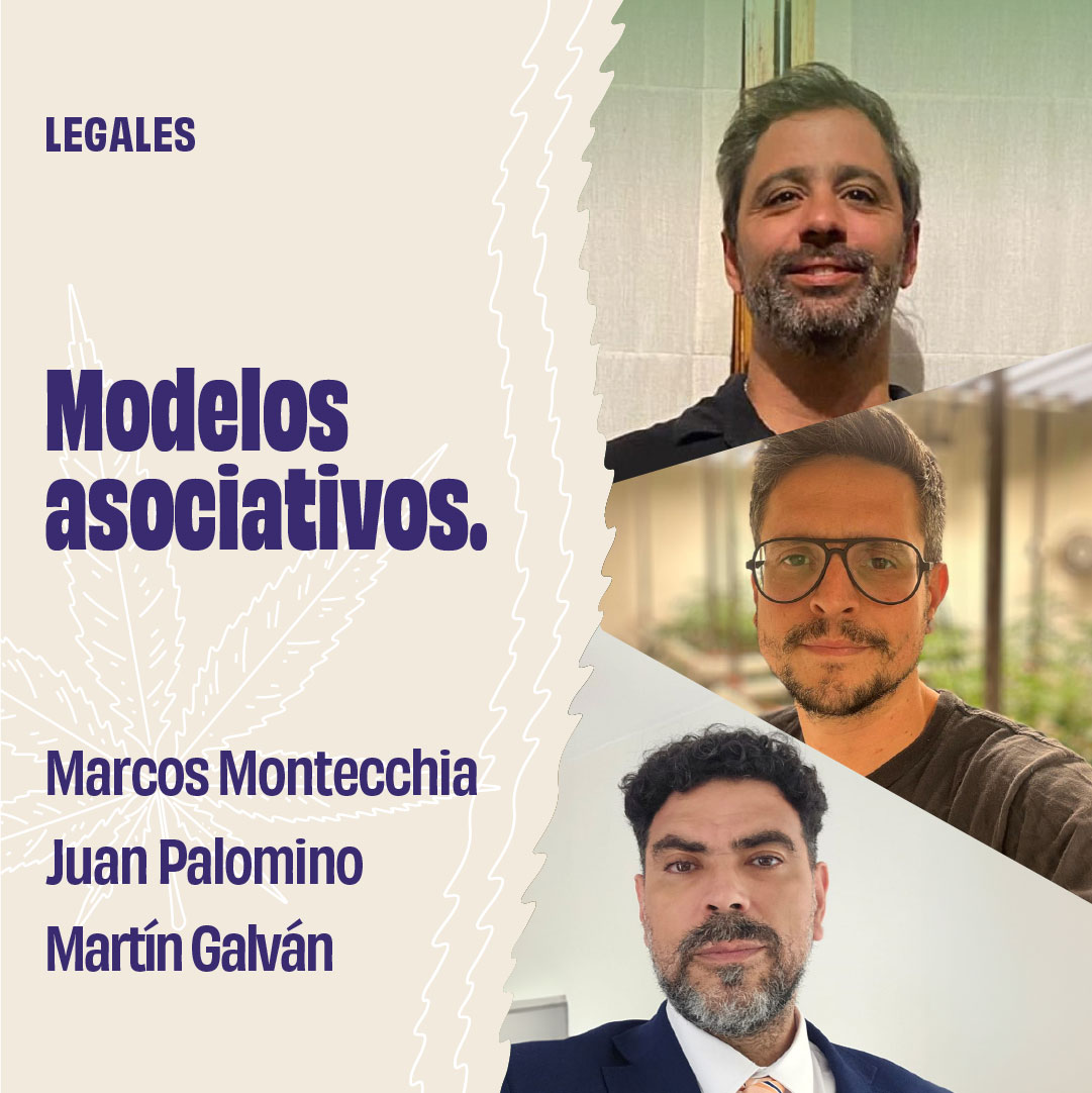 Panel: Modelos asociativos, clubes de cultivo y el futuro del cannabis en Argentina