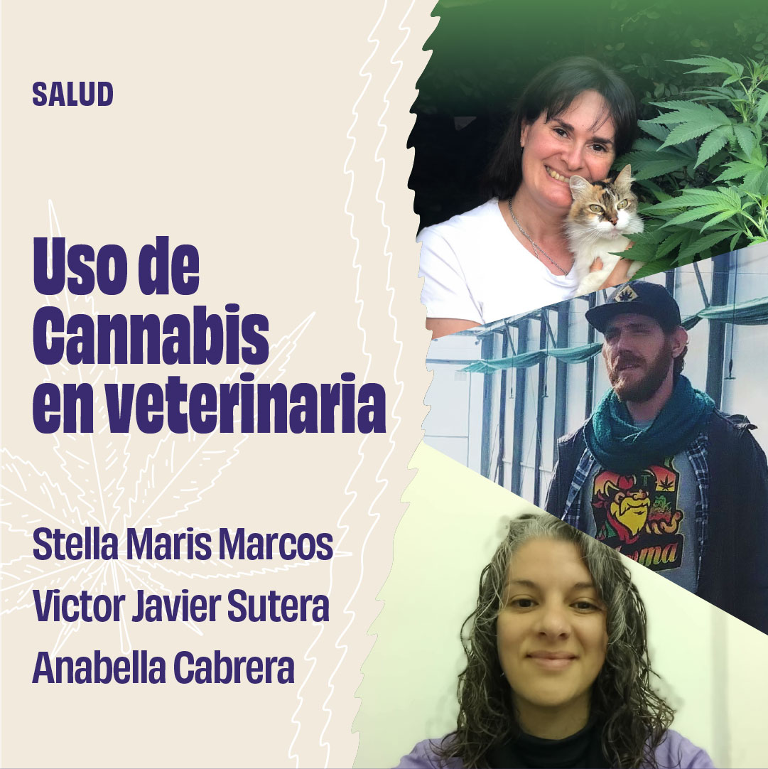 Uso de Cannabis en veterinaria